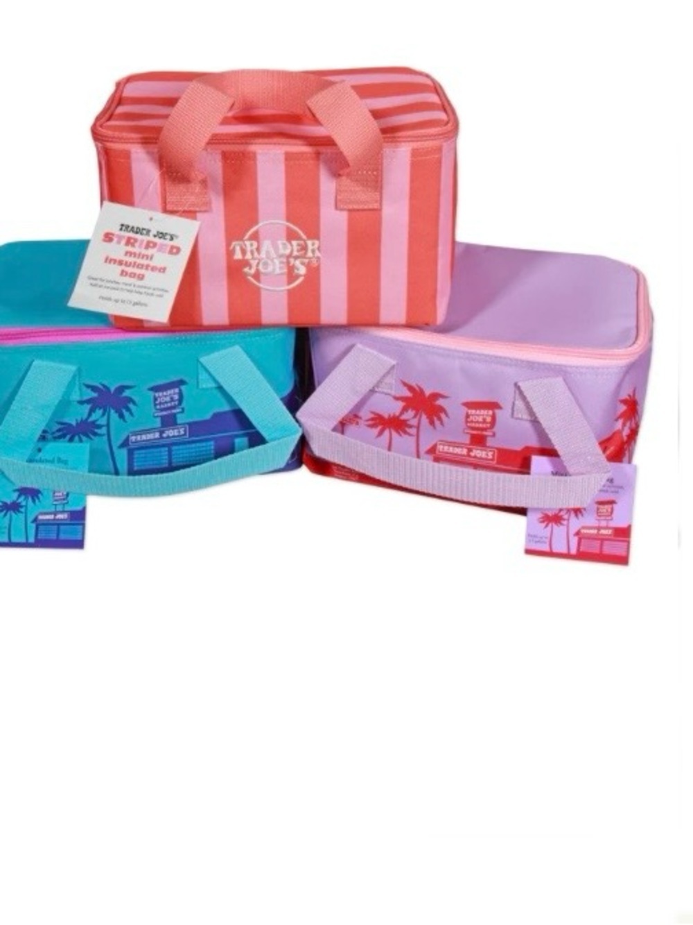 Trader Joe's Mini Insulated Tote Summer Fun Collection Blue Pink NWT